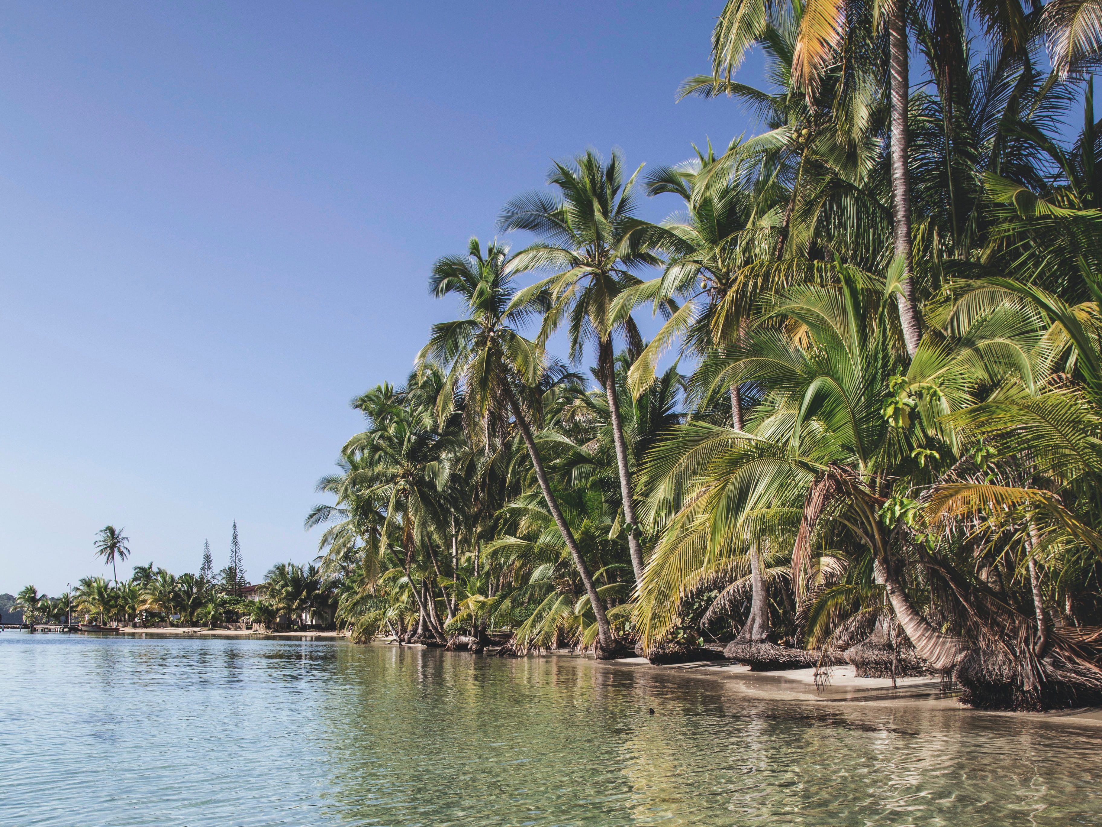 Climat à Bocas del Toro